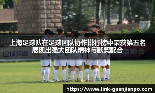 上海足球队在足球团队协作排行榜中荣获第五名展现出强大团队精神与默契配合